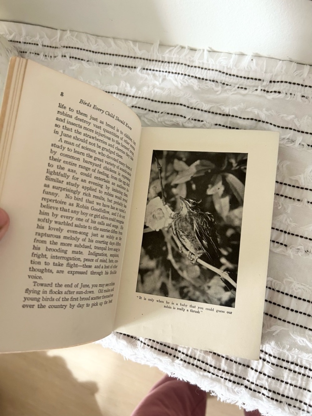 Antique 1907 “Birds Every Child Should Know” Neltje Blanchan Hardcover Book - Picture 9 of 10
